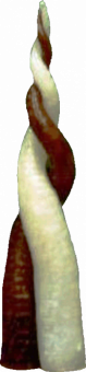 Svíce Láska