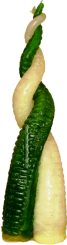 Svíce Láska