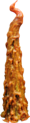 Svíce Fénix ON