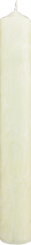 Palmová svíčka střední vysoká 